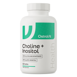 Ostrovit Cholin + inositol 120 tablet