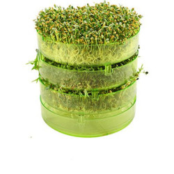 Keimschalen 3 Stück