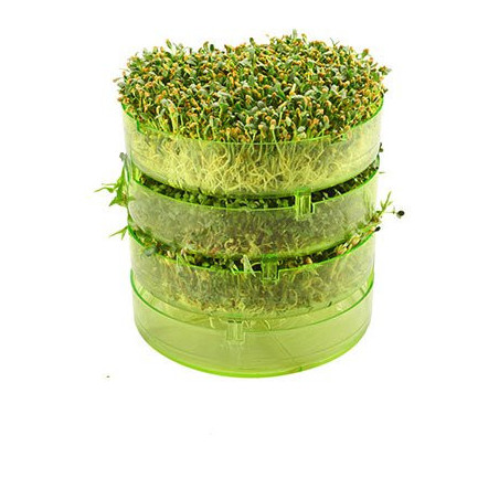 Keimschalen 3 Stück