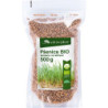 Healthy day Organic wheat - seeds for germination 500g