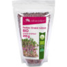 Healthy Day® Organic Chinese Pink Radish Seeds für die ganzjährige Keimung. Sie sind ein frisches und hochwertiges Gemüse, das sich für den direkten Verzehr oder als Zutat für verschiedene Gerichte eignet. Sie haben einen mild-würzigen Geschmack.