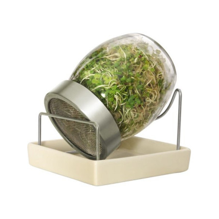Sprouting jar 700ml