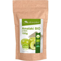 Healthy Day Amalaki Bio-Pulver 100 g