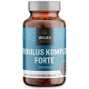 Tribulus complex forte 90 kapsúl