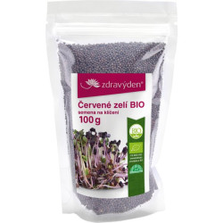 Bio-Rotkohl - Samen zum Keimen 100g