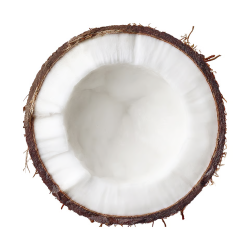 Voltage Energy Bar 65g kokos