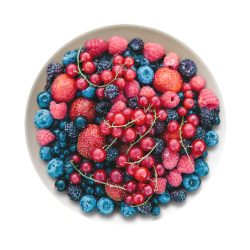 Voltage Energy Bar 65g lesné plody