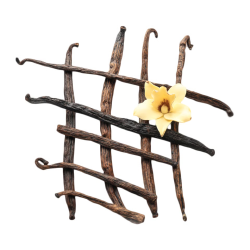 Vytrvalostná tyčinka 45g vanilka