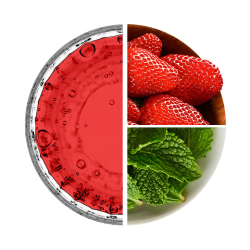 N1 Drink 330 ml - Strawberry and mint