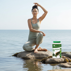 Chlorella BIO 300 tablet
