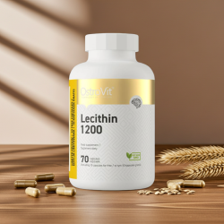 OstroVit Lecithin 1200 70 Kapseln